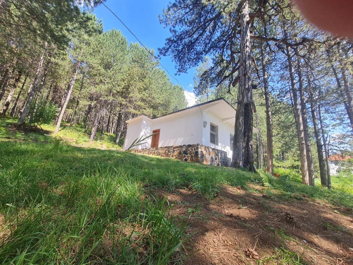 Bujtinat Skenderi Gjinar 2 Villa ภายนอก รูปภาพ