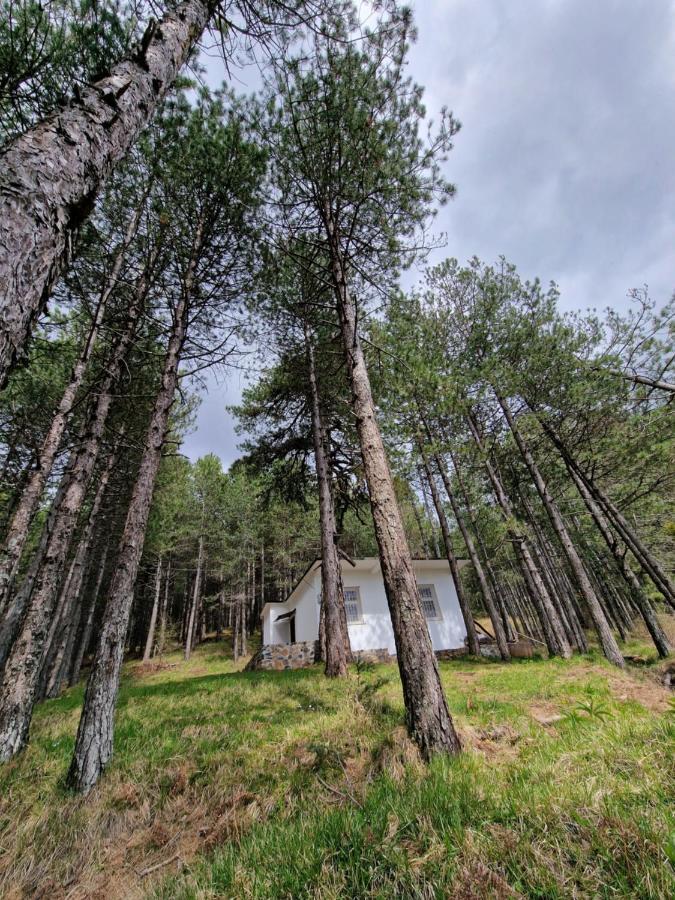 Bujtinat Skenderi Gjinar 2 Villa ภายนอก รูปภาพ